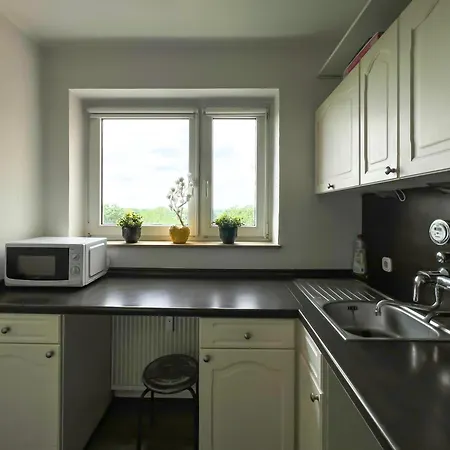 Apartment Ferienwohnung Liudmila *